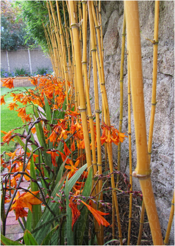 StMarys Garden